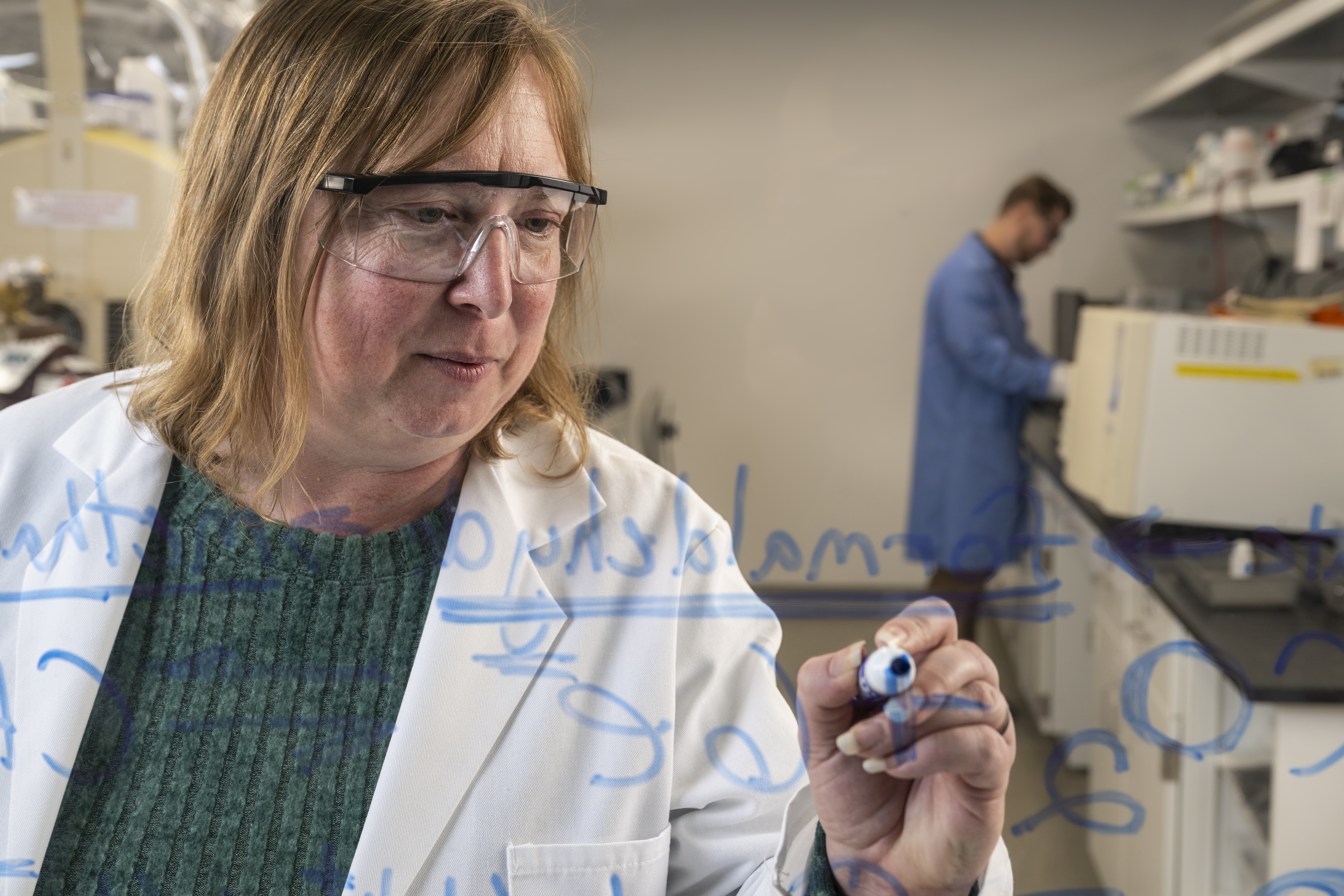 Dr. Minteer writing on board in the lab
